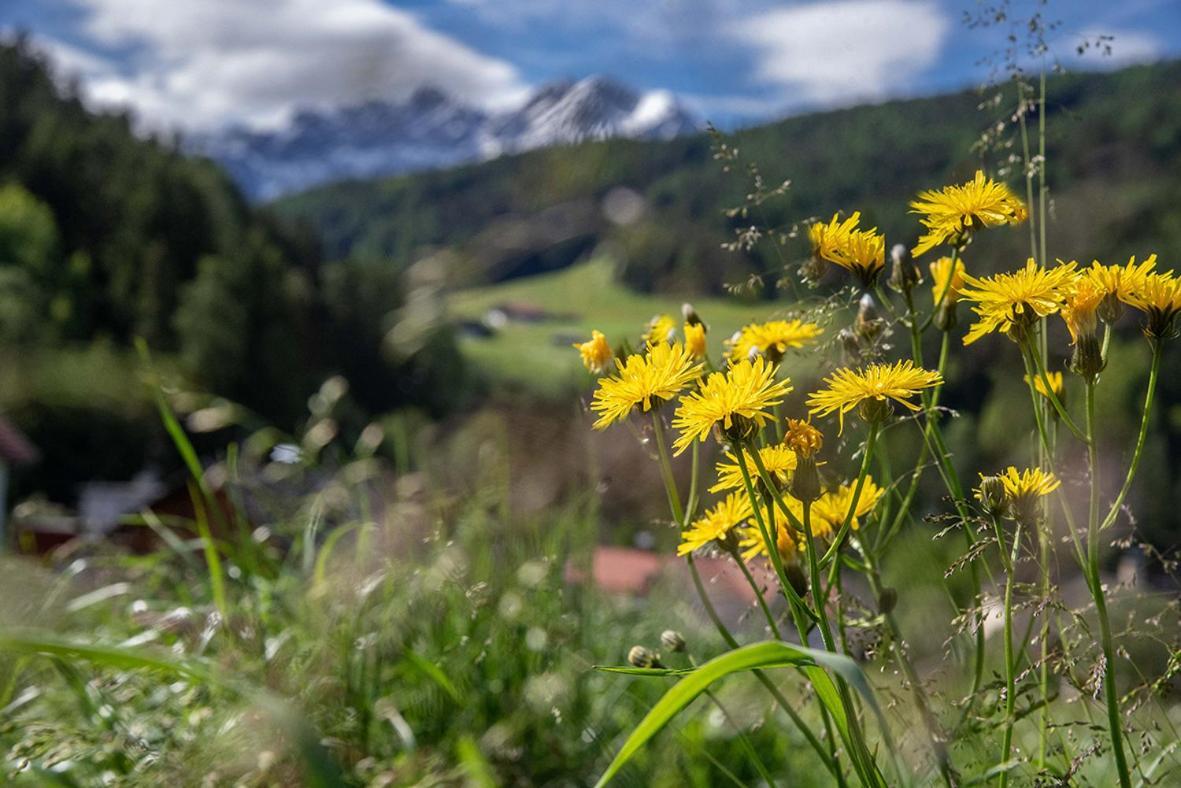 Willmüllerhof Daire Perca Dış mekan fotoğraf